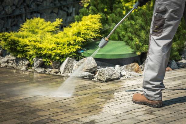 Best Sidewalk and Walkway Cleaning  in Camp Barrett, VA