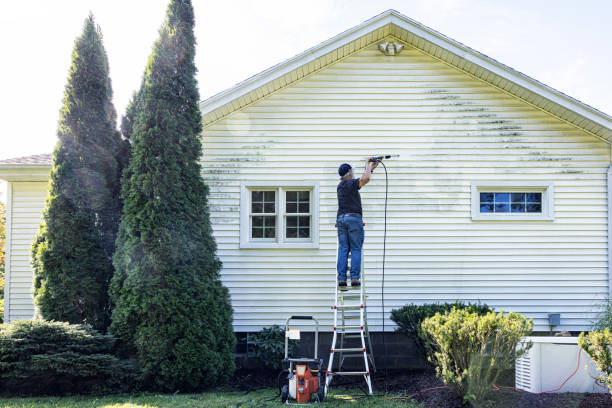 Best Building Exterior Washing  in Camp Barrett, VA